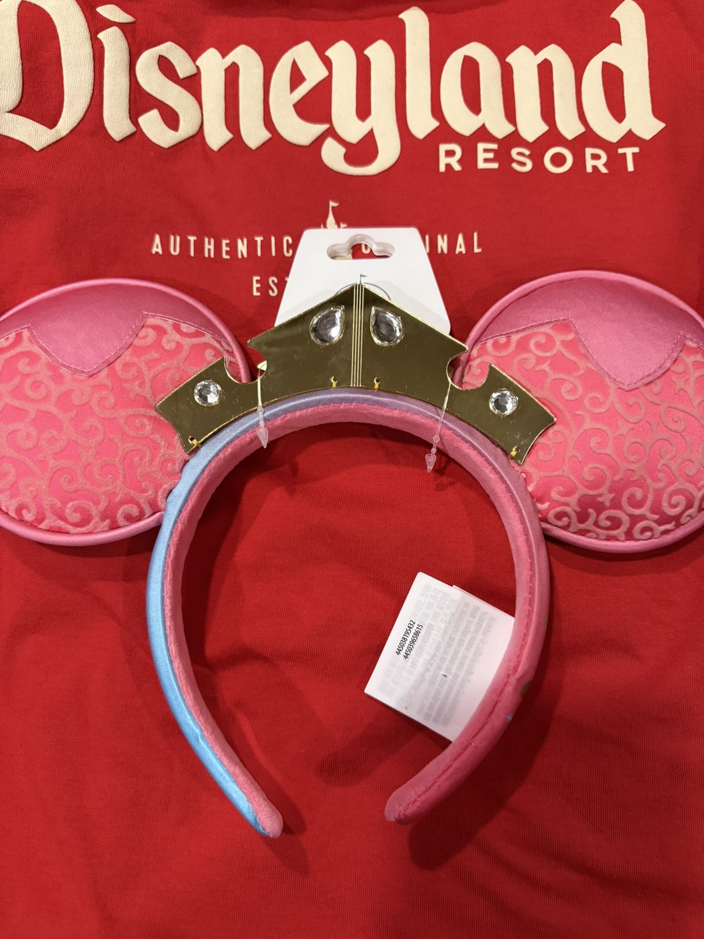 Disney Princess Ears