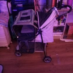 Pet Stroller And Pet Carry Bag $125