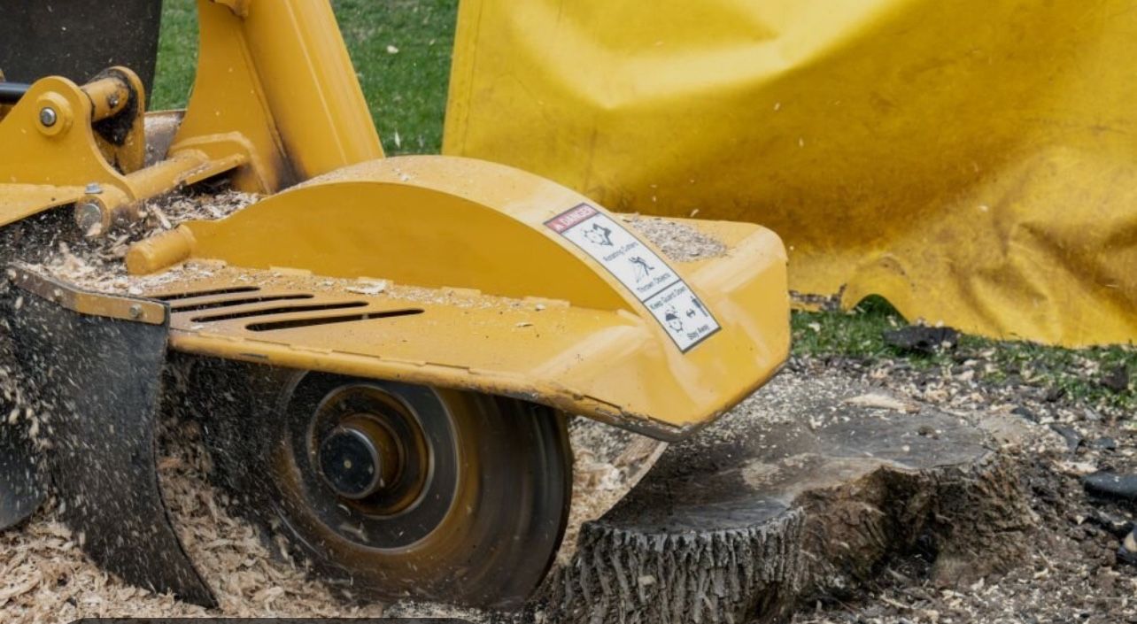 Stump Grinding