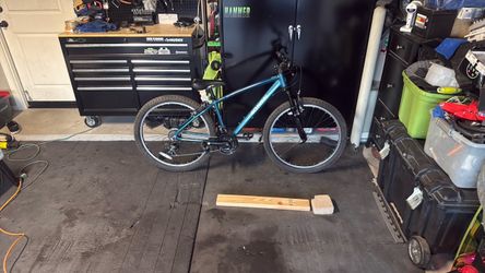 Schwinn 26 inch