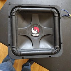 Kicker Solo Bearing