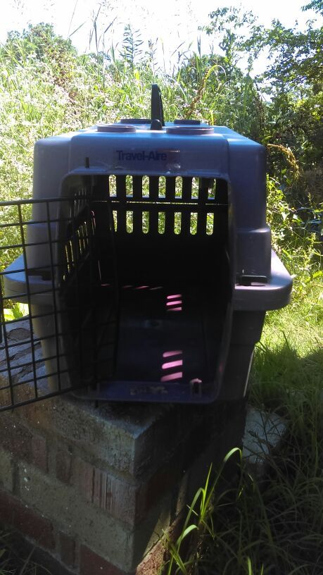 Small animal crate