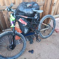 Rocky Mountain Switch