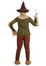 Men's Plus Size Wizard of Oz Scarecrow Costume, Size 2XL