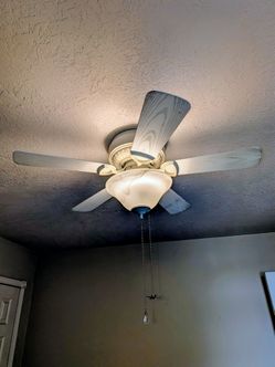 Ceiling Fans
