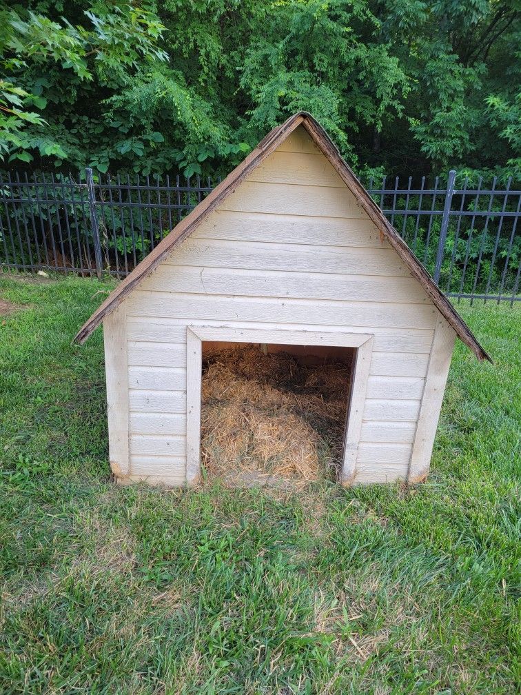 Dog House