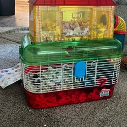 Hamsters/cage 