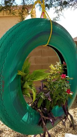 Tire with plants for sale