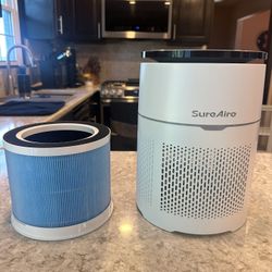 HEPA & Carbon Filter Air Purifier – Brand New – $110 (Retail $130)