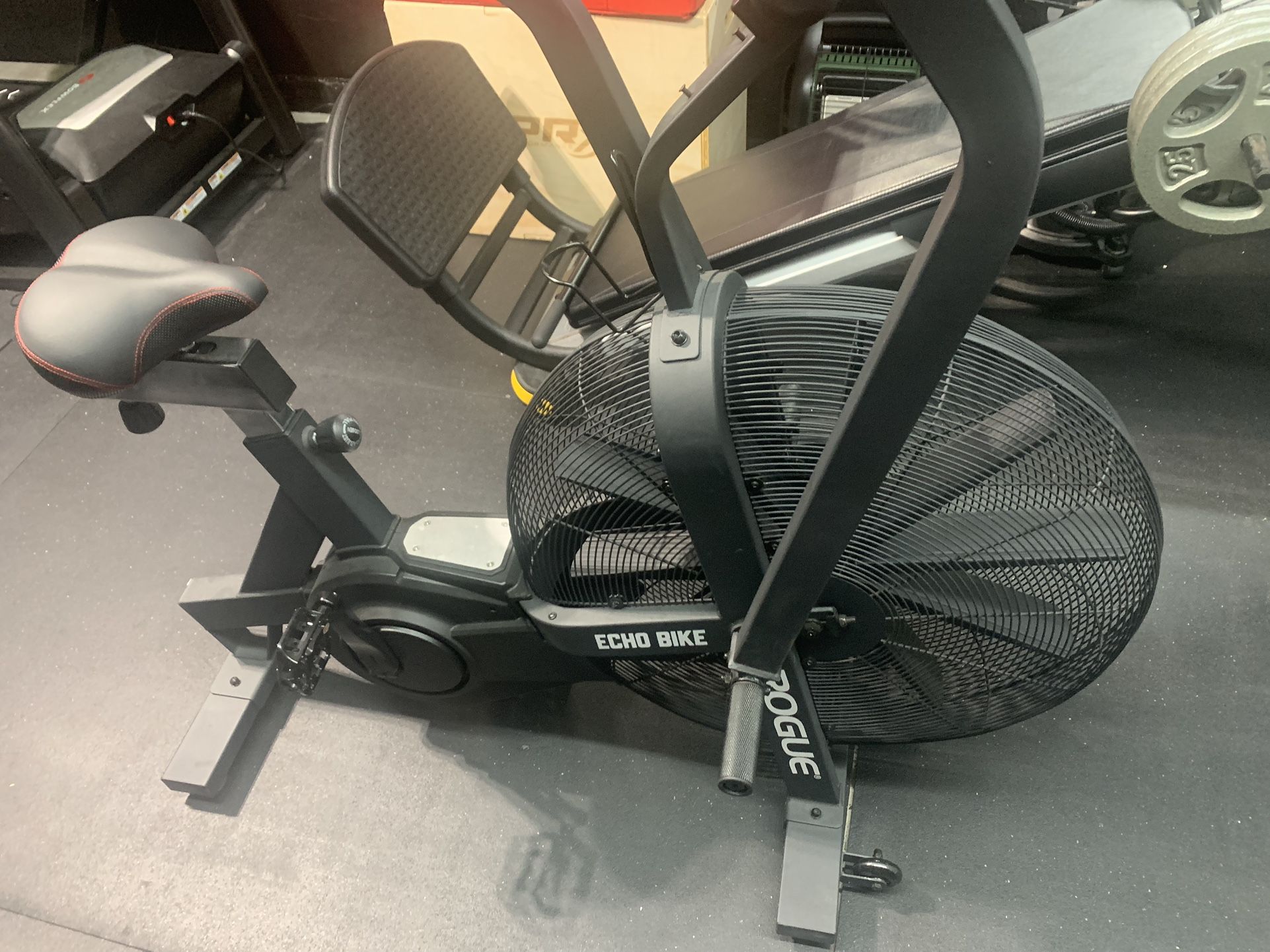 Rogue Echo bike