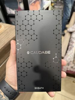 17 Pro Caudabe Sheath Case