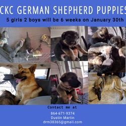 Contact For Info