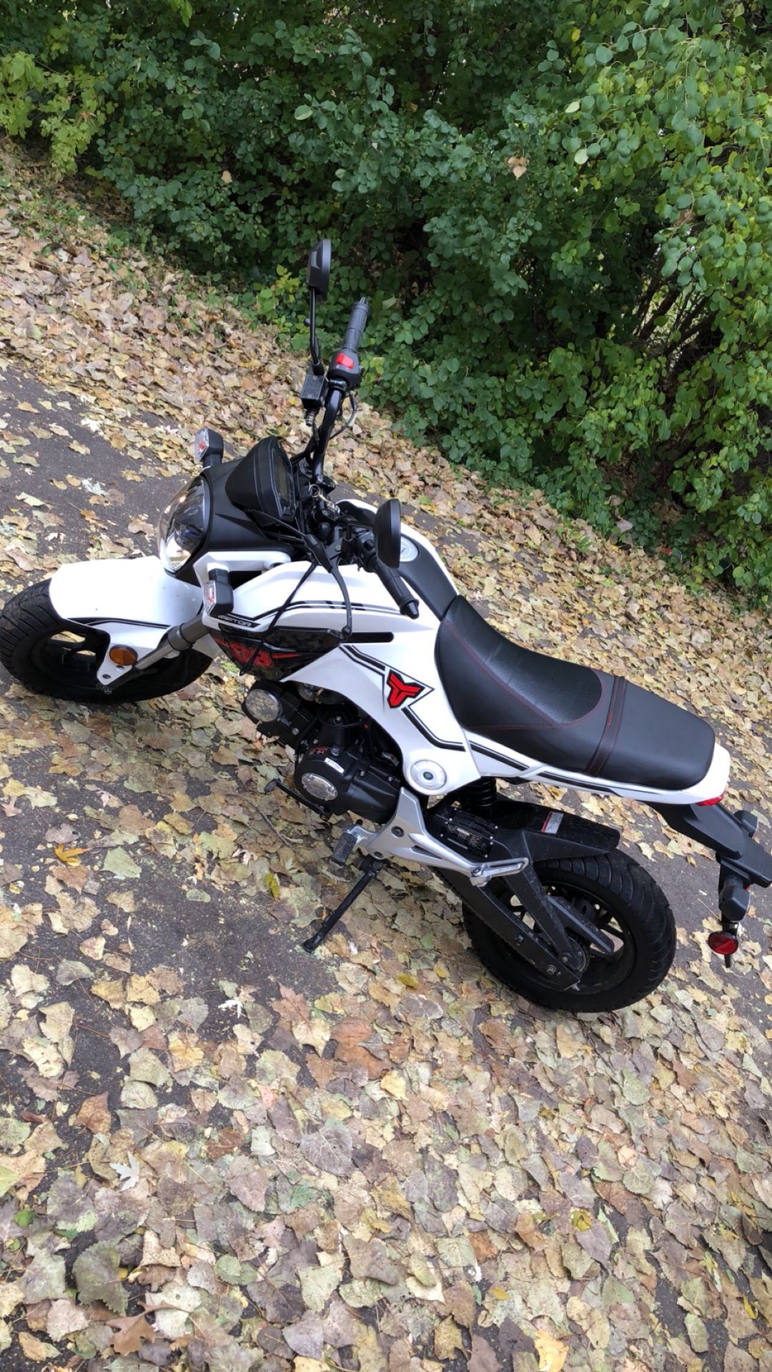 Tao Tao Hellcat 125 (Grom Clone)