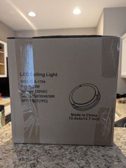 New In Box Light Fixture