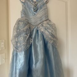 Disney Cinderella Dress / Costume 