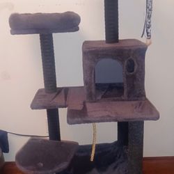 Cat Tree 