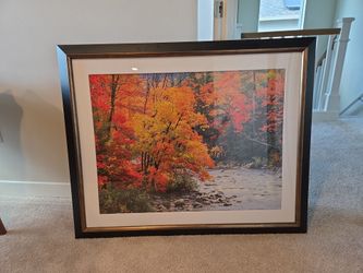 Framed outdoor scene