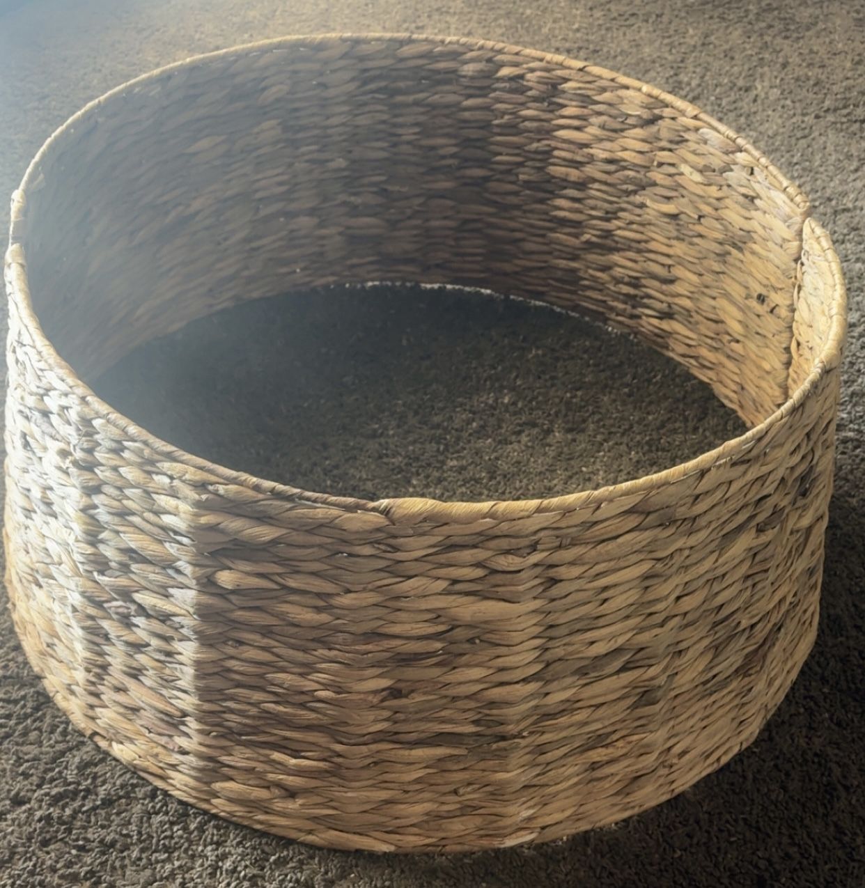 Christmas Tree Collar