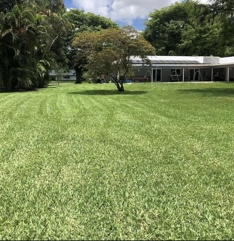 Lawn Cut