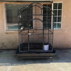 Bird Cage