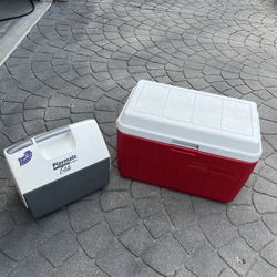 Large Coleman and Medium Igloo Coolers