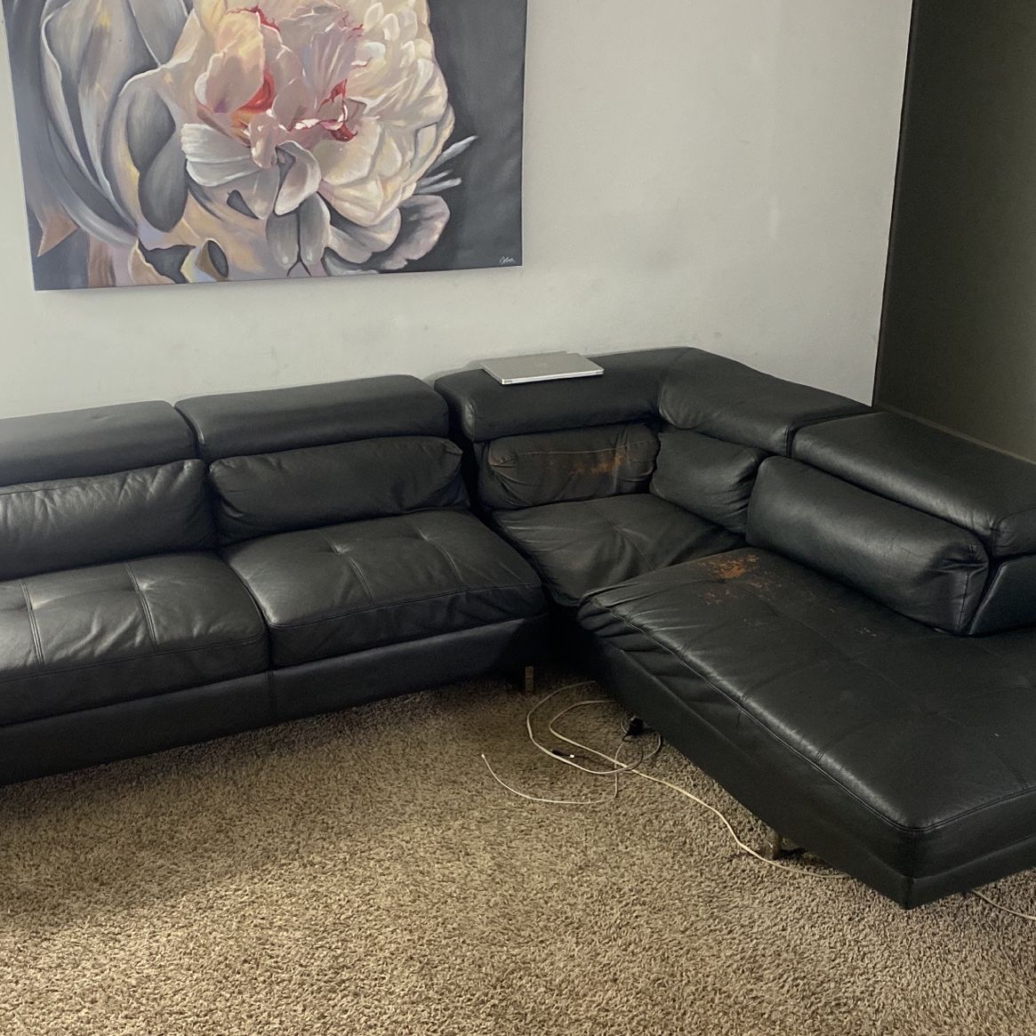 Free Sectional