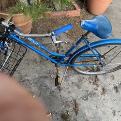 Bike Schwinn Vintage Ladies cruiser