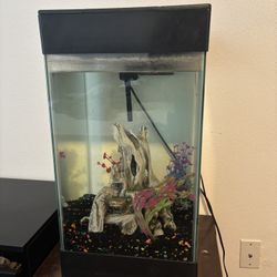 Fish tank