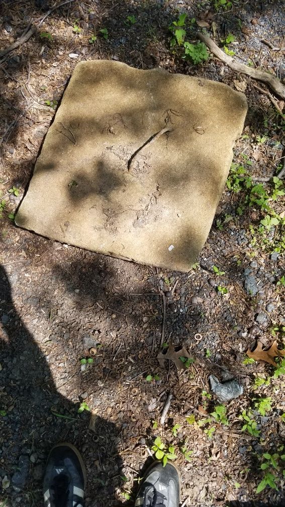 Septic tank cover