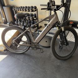 Electric bike 