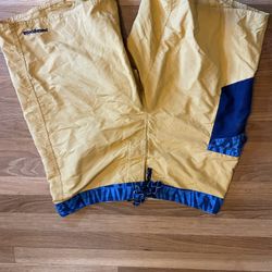 Patagonia shorts 
