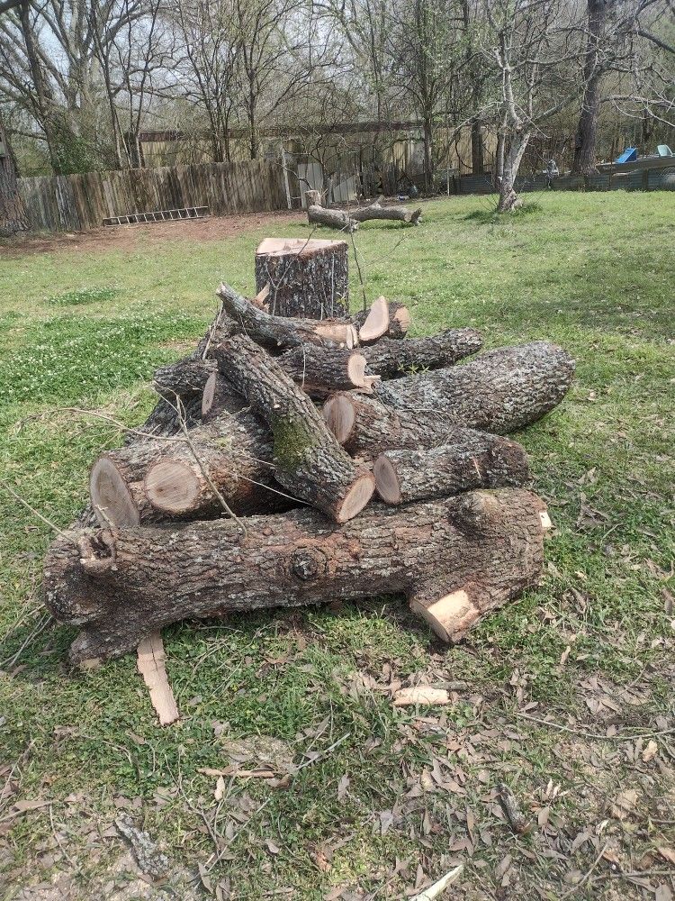 Oak Firewood