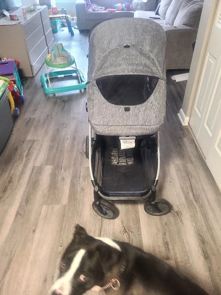 EvenFlo Stroller 