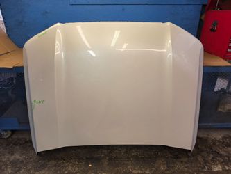 Land cruiser 2025 2026 hood