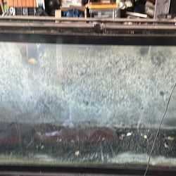 65 Gallon Aquarium
