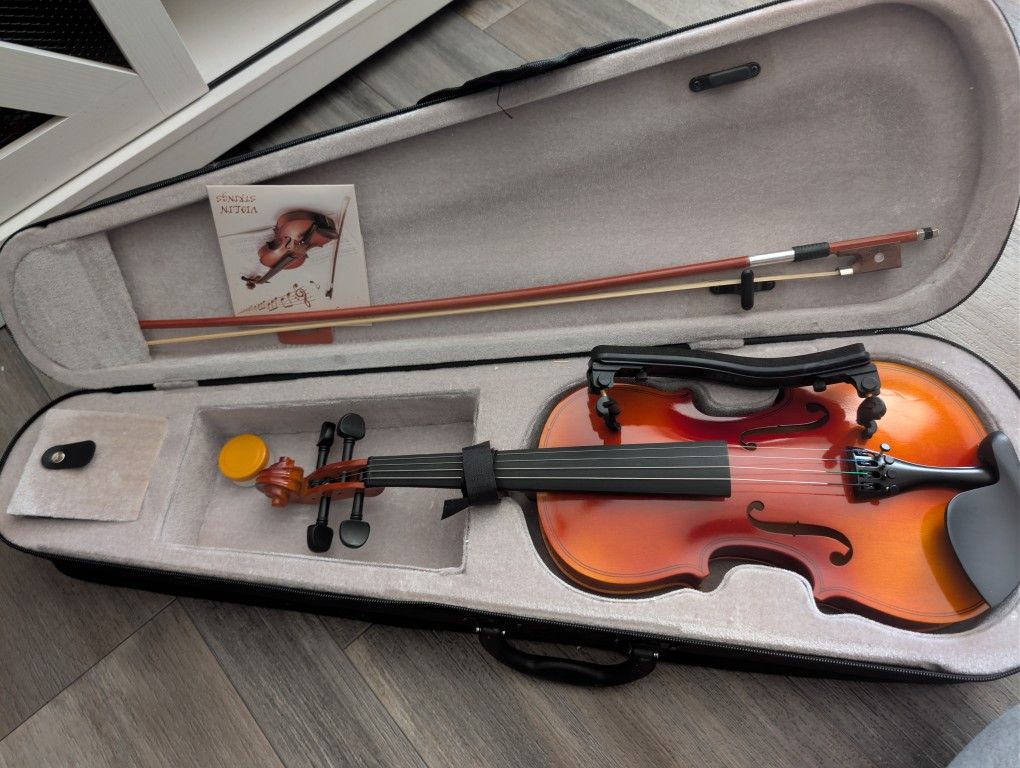 Violin