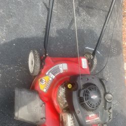 Electric Lawnmower 