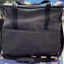 Electronics/Computer Padded Travel Bag