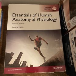 Essential Of Human Anatomy & Physiology 