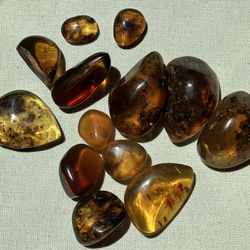 Amber Gemstones 