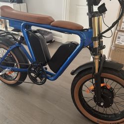 2025 Electric Fat Tire E-Bike – 2000W Dual Motor • Dual Battery • BRAND NEW