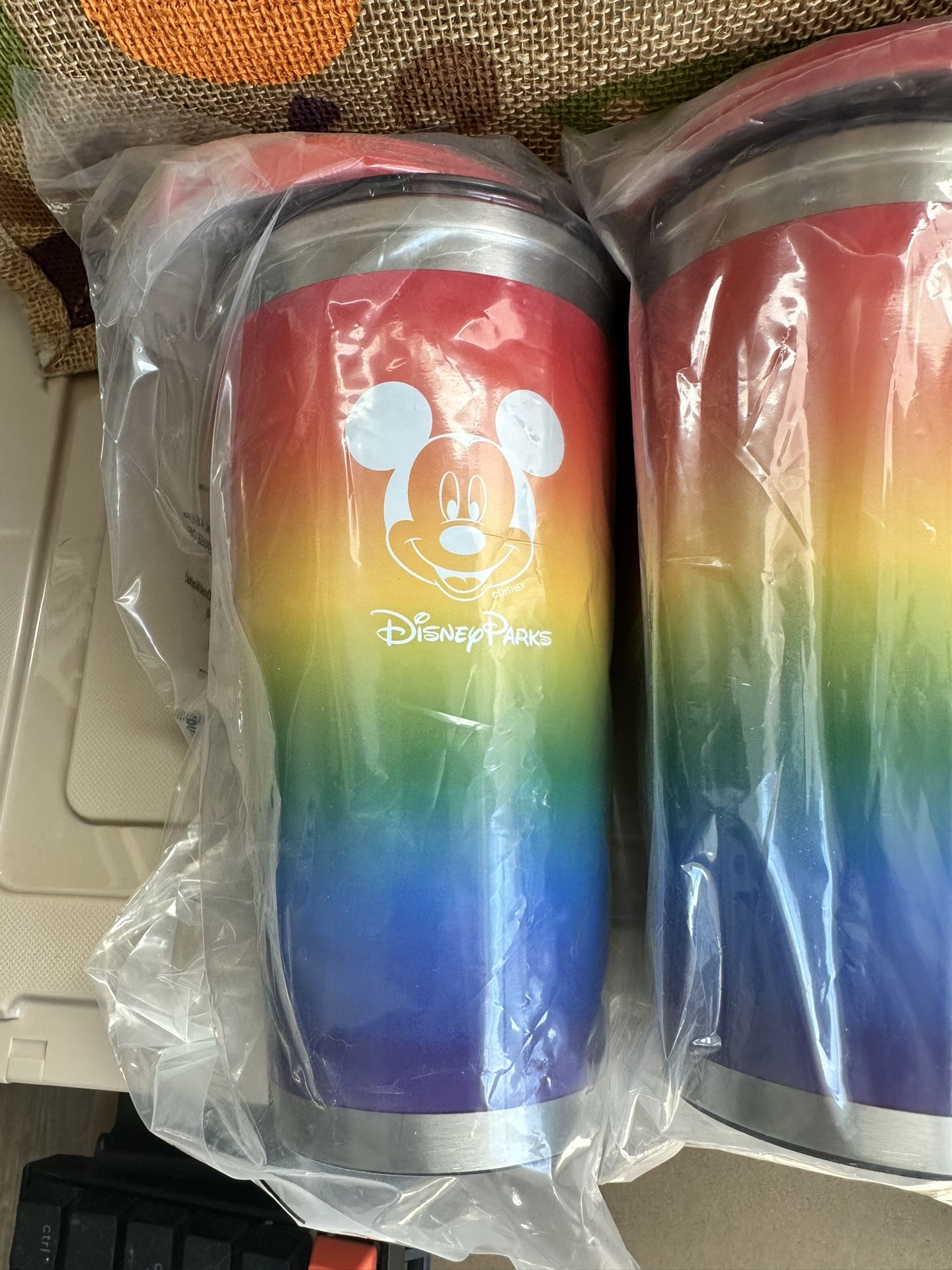 Disneyland park tumbler