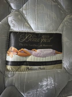 Simmons Beauty Rest Platinum Plush Queen Size Mattress