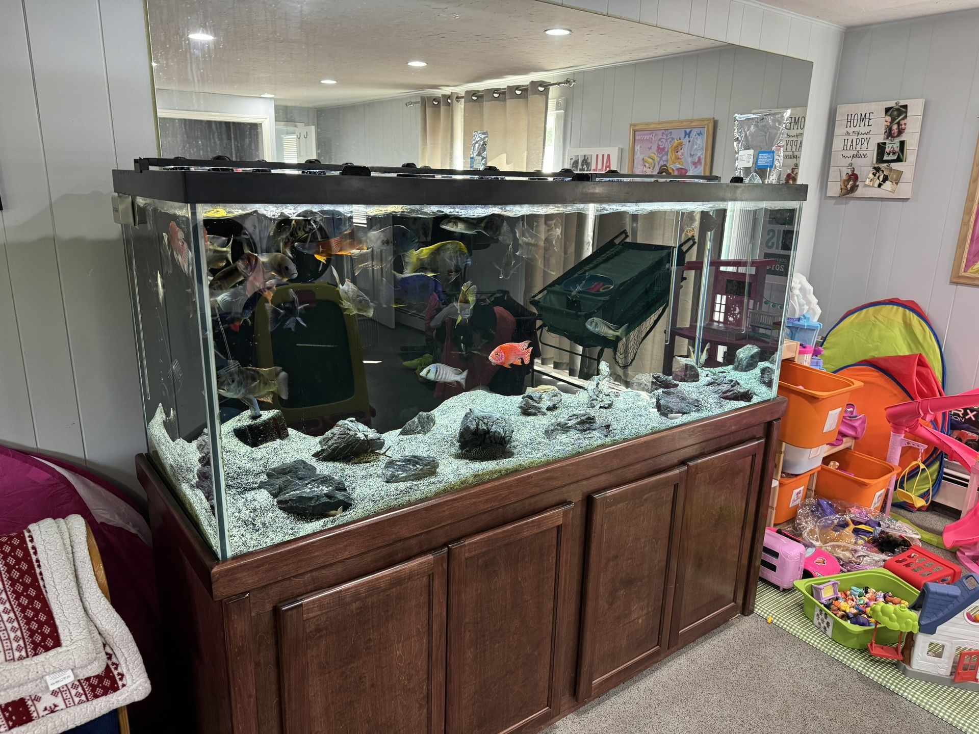 Aqueon 210 Gallon Aquarium Plus Extras!