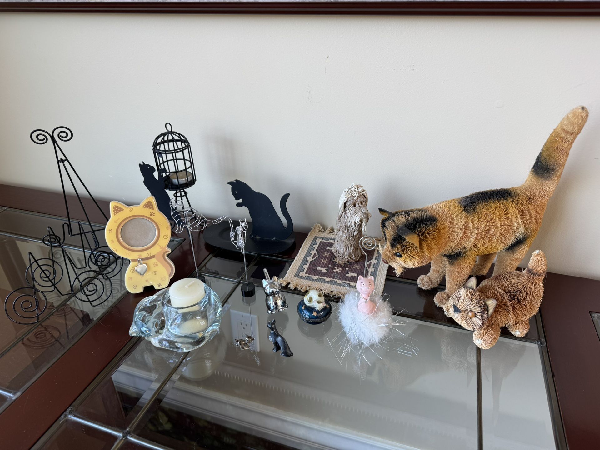 All Cats, Etc ( Plus One Dog)