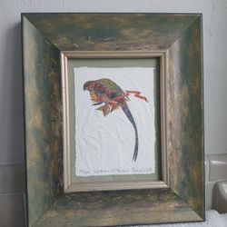 JONNA WHITE SATSUMA ST. THOMAS EMBOSSED LITHOGRAPH PARROT PRINT 4 1/2" BY 12  1/4" SIGNED # 38/250