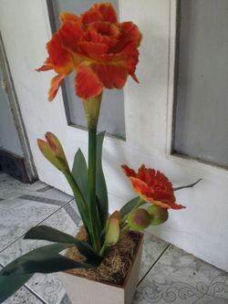 Planta artificial