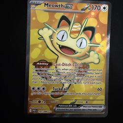 Perfect Order Meowth 