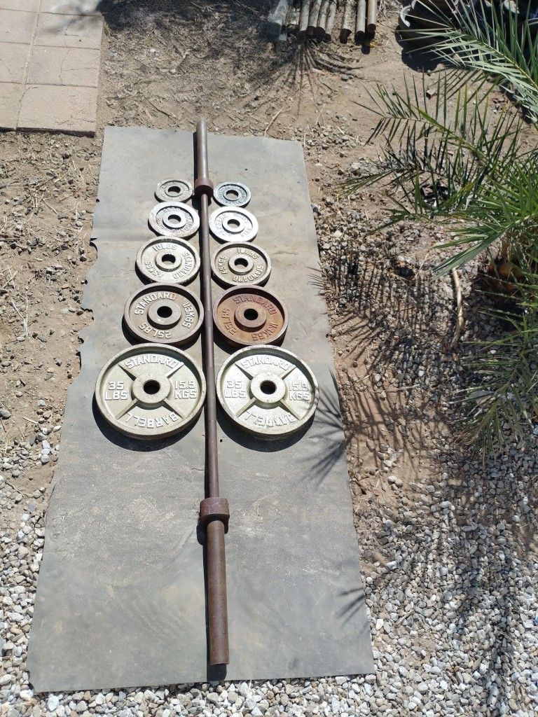 155lbs Olympic Weights+ 7ft Bar