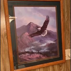 Flying Bald Eagle Picture